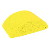 Sponges